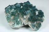 Cubic, Blue-Green Fluorite Crystals on Druzy Quartz - Fluorescent #185458-3